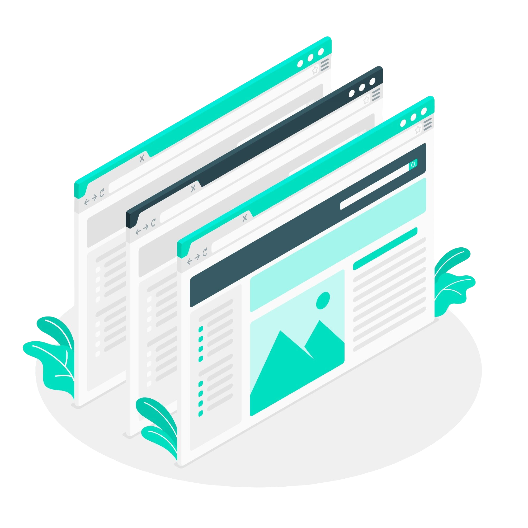 Custom Website Design and Development